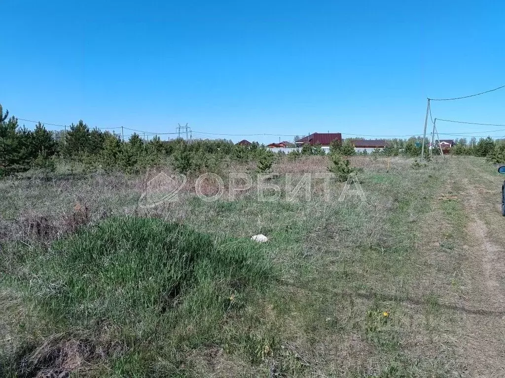 Участок в Тюменская область, Тюменский район, с. Каменка, Подушкино ... - Фото 1