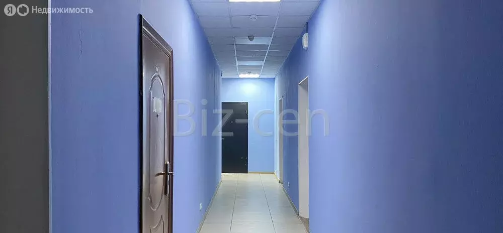 Офис (25.5 м) - Фото 0