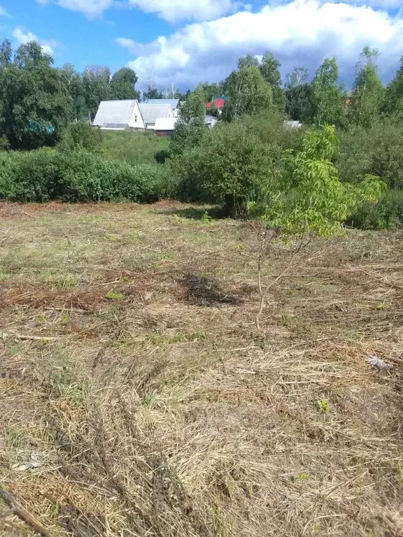 Участок в Новосибирская область, Новосибирский район, с. Раздольное ... - Фото 1