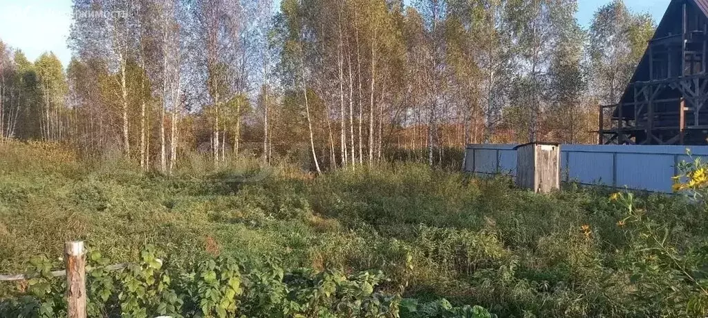 Участок в Тюменская область, Нижнетавдинский муниципальный округ, СНТ ... - Фото 1