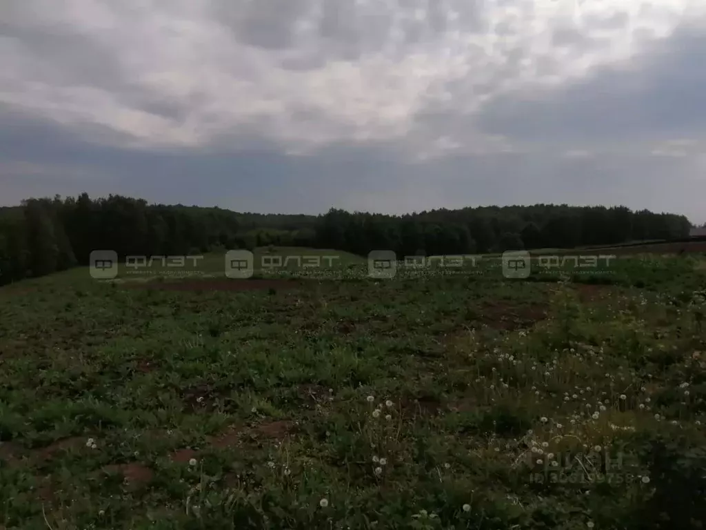 Участок в Татарстан, Высокогорский район, с. Березка ул. Новостройка, ... - Фото 1