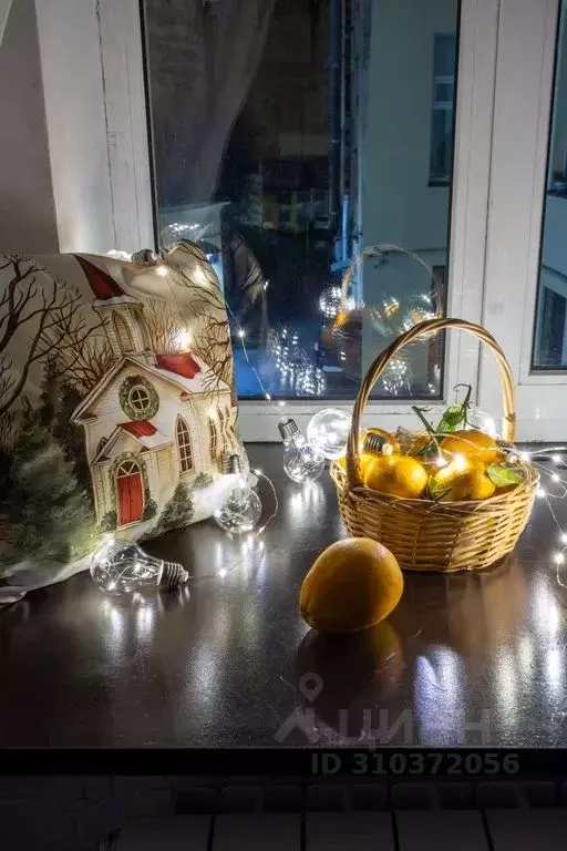 Студия Санкт-Петербург Московский просп., 1/2 (18.0 м) - Фото 1