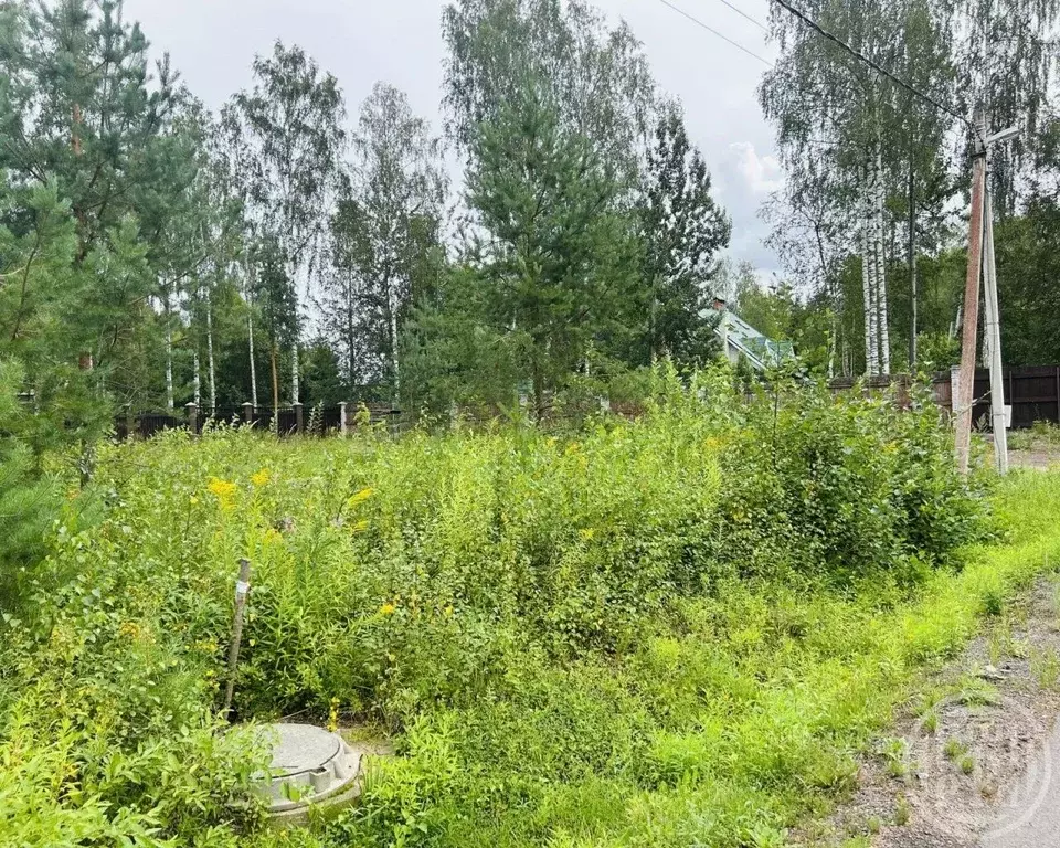 Участок в Ленинградская область, Сертолово Всеволожский район, ... - Фото 0