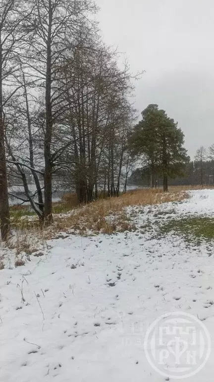 Участок в Ленинградская область, Лужский район, Скребловское с/пос, д. ... - Фото 2