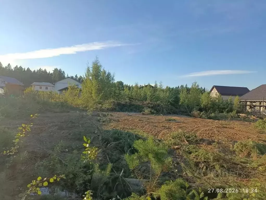 Участок в Ленинградская область, Сосновый Бор Смольнеское СНТ, 71 ... - Фото 2
