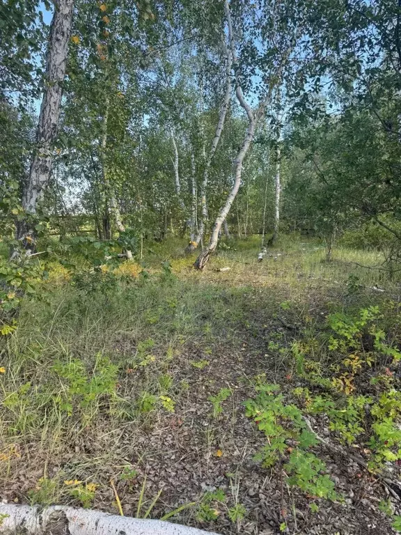Участок в Саха (Якутия), Якутск городской округ, с. Владимировка  (7.3 ... - Фото 0