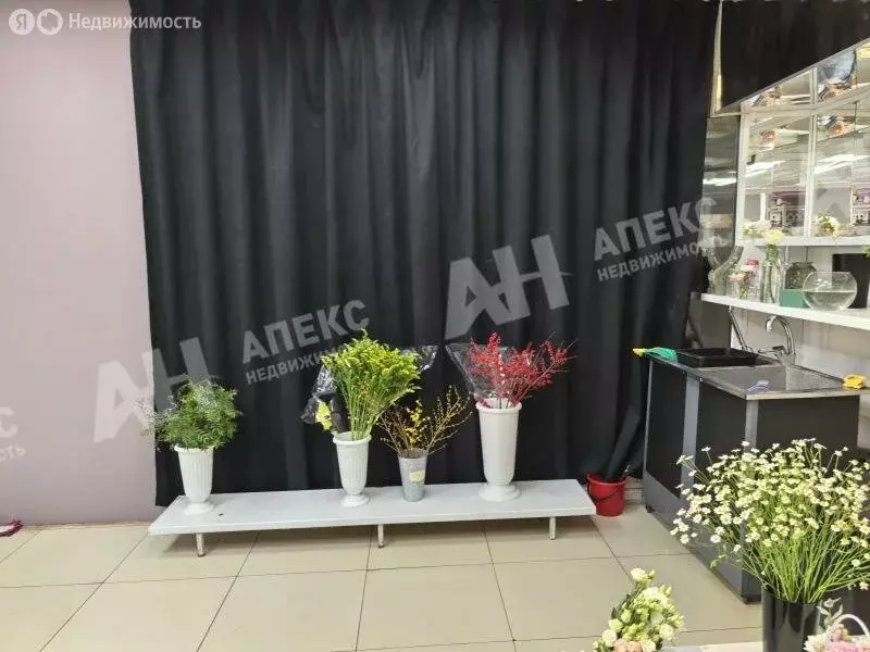 Помещение свободного назначения (24 м) - Фото 1