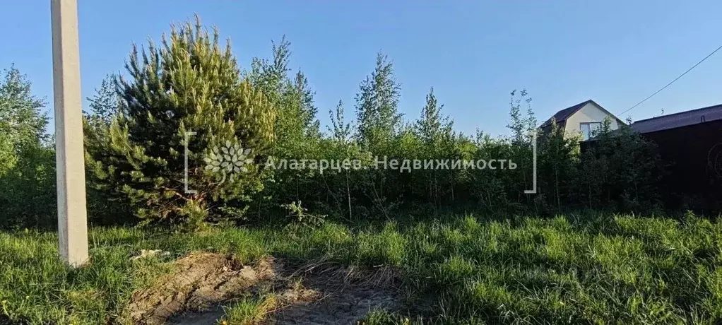 Участок в Томская область, Томский район, с. Корнилово, Красная горка ... - Фото 1