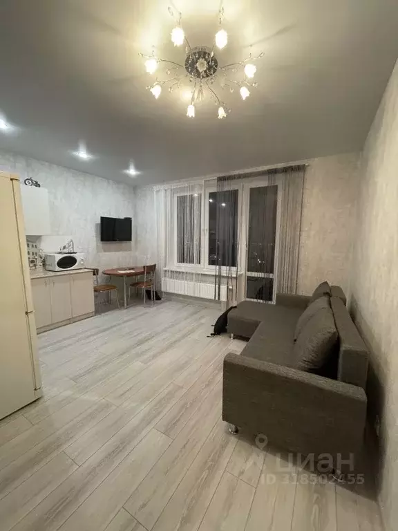 1-к кв. Татарстан, Казань ул. Родины, 26Б (29.7 м) - Фото 1