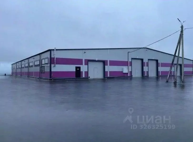 Производственное помещение в Ленинградская область, Всеволожский ... - Фото 1