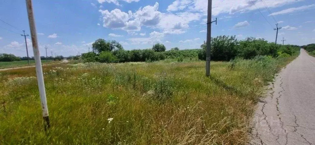 Участок в Краснодарский край, Ленинградский муниципальный округ, Коржи ... - Фото 1