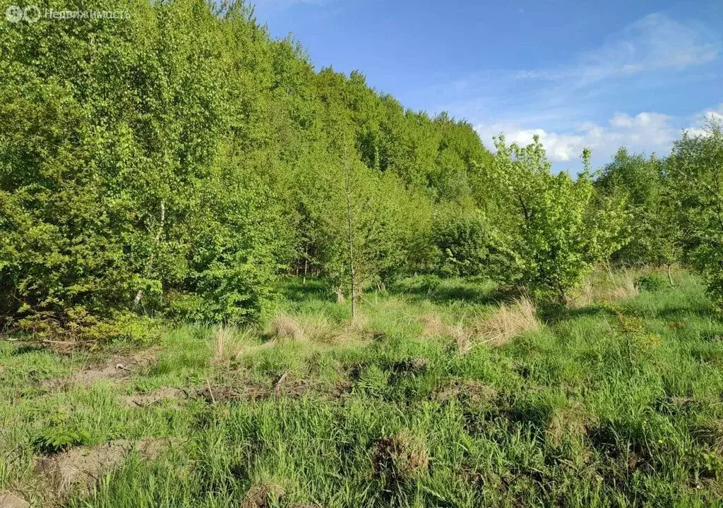 Участок в Светлогорск, Ольховая улица, 32к7 (6.25 м) - Фото 0