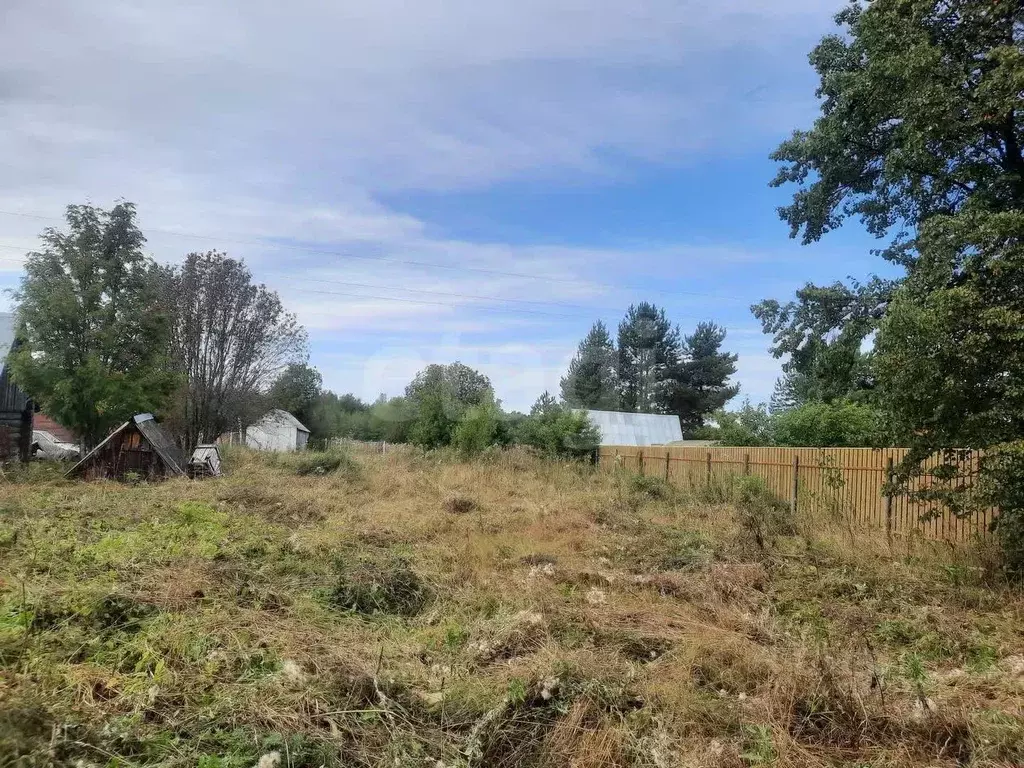 Участок в Вологодская область, Кадуйский муниципальный округ, Деревня ... - Фото 1
