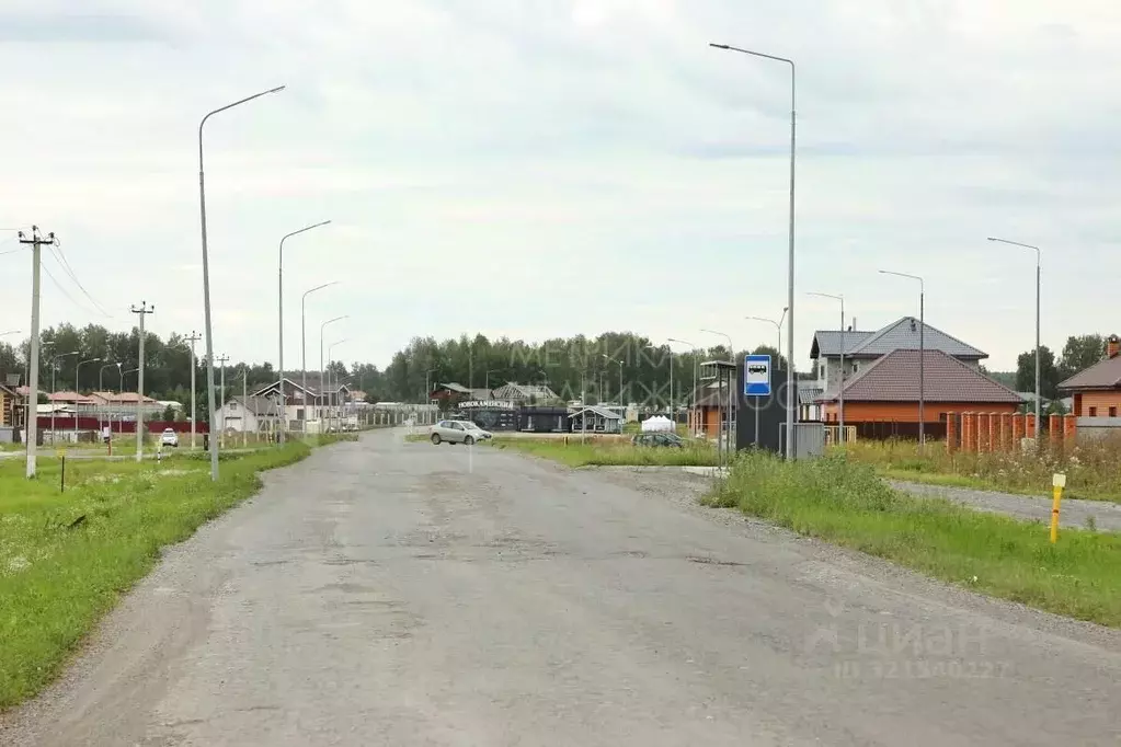 Участок в Тюменская область, Тюменский район, Новокаменский кп  (11.0 ... - Фото 2