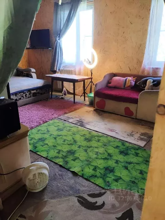 Дом в Хабаровский край, Хабаровский район, Ильинка с/пос, с. Ильинка ... - Фото 2