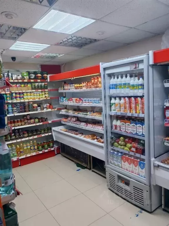 Торговая площадь в Ямало-Ненецкий АО, Новый Уренгой Восточный мкр, 6/8 ... - Фото 2