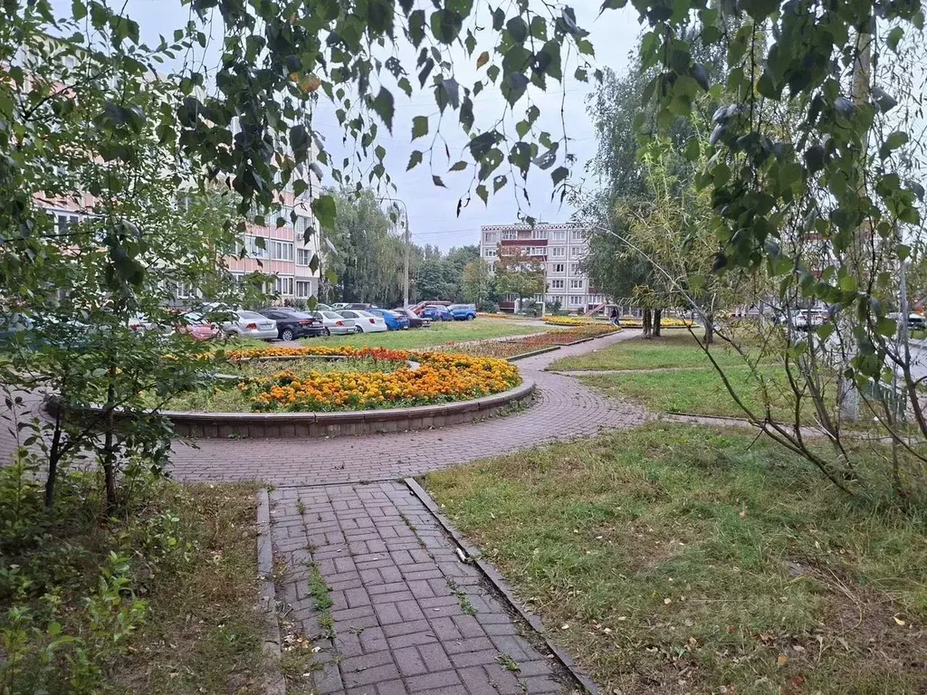 2-к кв. Московская область, Чехов ул. Полиграфистов, 13А (53.0 м) - Фото 2