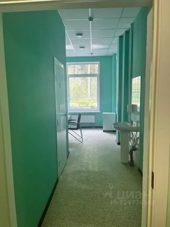 Помещение свободного назначения в Ленинградская область, Кингисепп ул. ... - Фото 2
