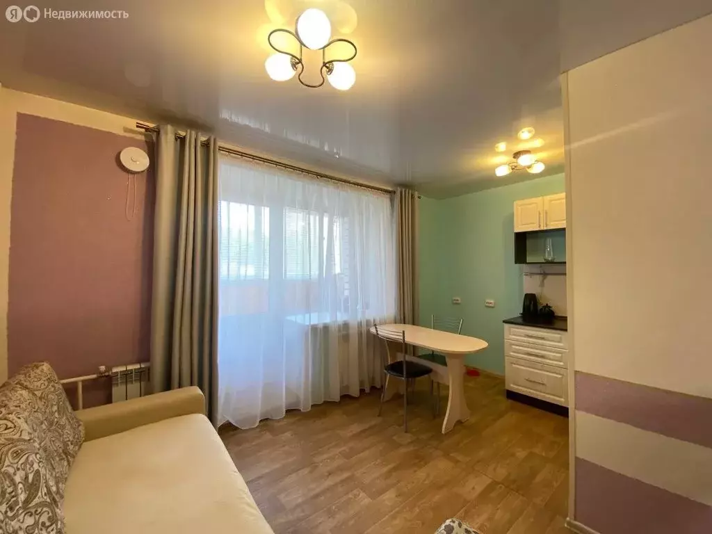 Квартира-студия: Барнаул, улица Гущина, 150/4 (27 м) - Фото 1