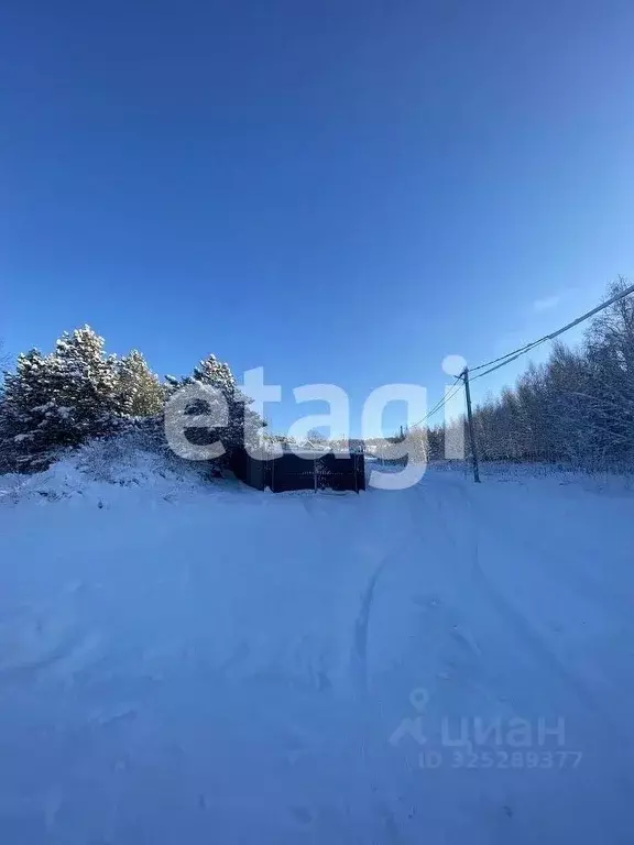 Участок в Красноярский край, Сосновоборский муниципальный округ, с. ... - Фото 1