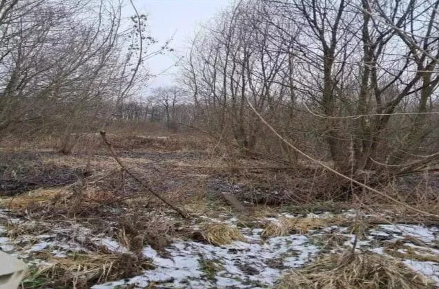 Участок в Московская область, Лосино-Петровский  (9.16 сот.) - Фото 1