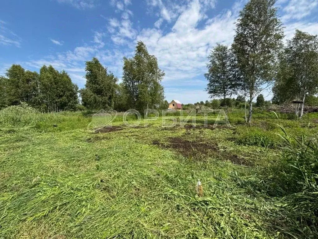 Участок в Тюменская область, Нижнетавдинский район, Виктория ТСН ул. ... - Фото 1