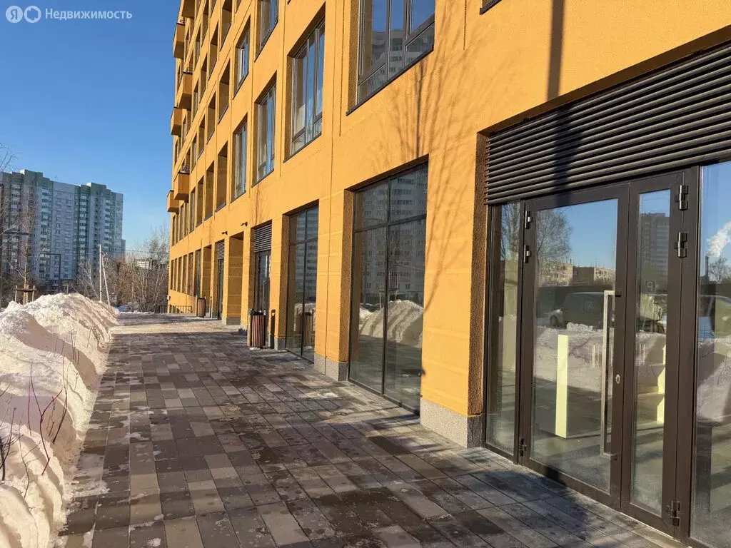 Помещение свободного назначения (50.6 м) - Фото 2