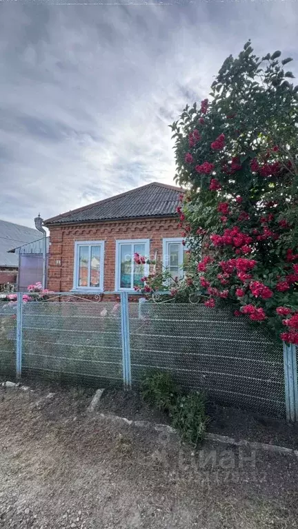 Дом в Краснодарский край, Тимашевск пер. 3-й Элеваторный (43 м) - Фото 1