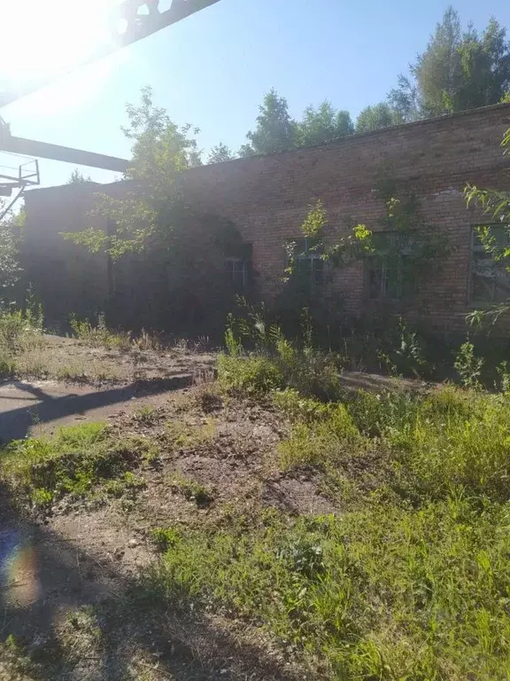 Помещение свободного назначения в Красноярский край, Назарово Лесная ... - Фото 2