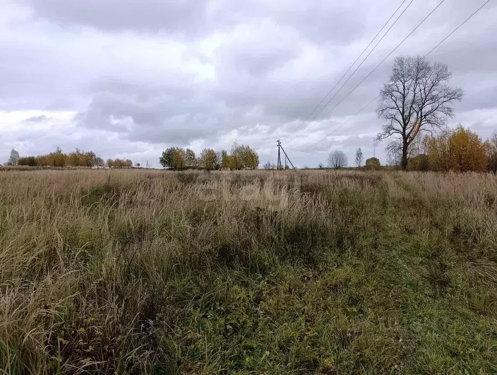 Участок в Калужская область, Боровский муниципальный округ, ... - Фото 1