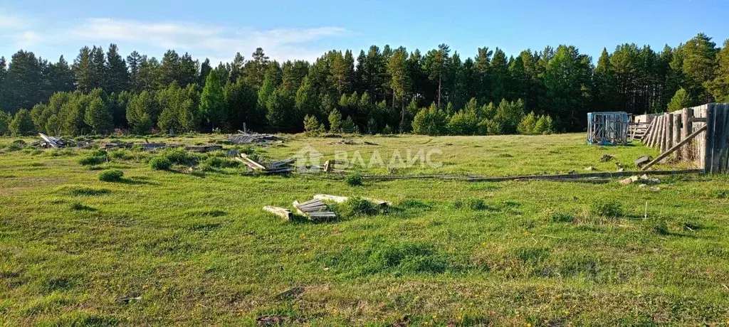 Участок в Бурятия, Баргузинский район, с. Макаринино (Башарово) ул. ... - Фото 0