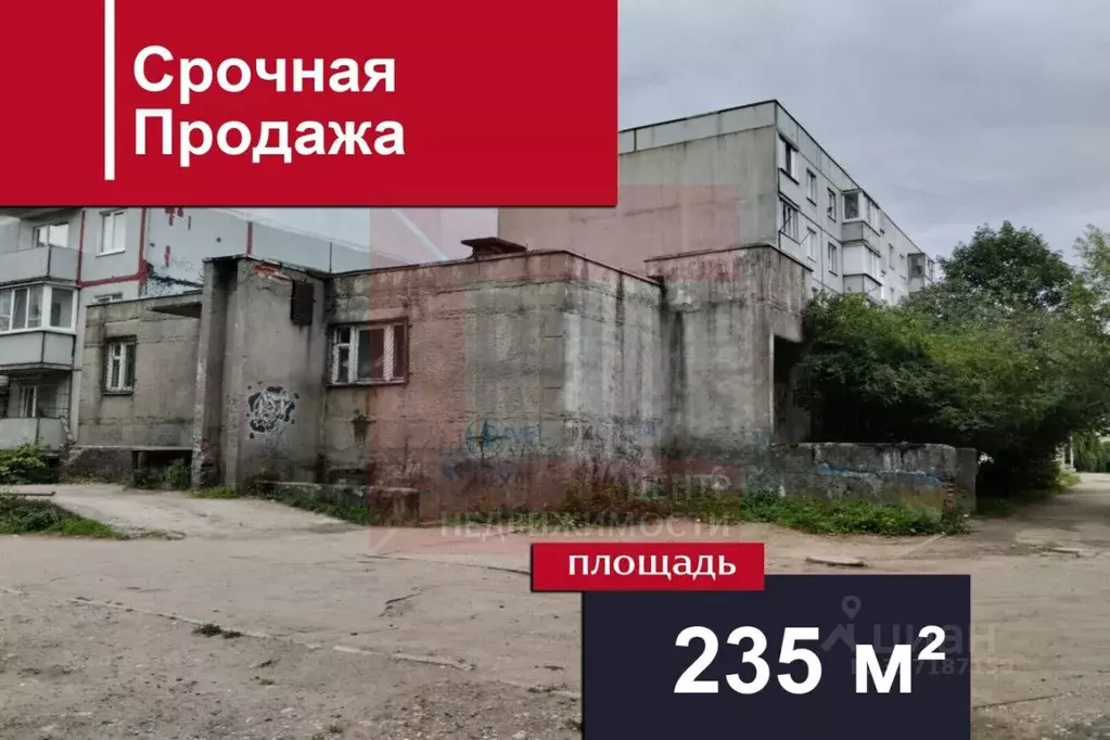 Помещение свободного назначения в Калининградская область, Гурьевский ... - Фото 1