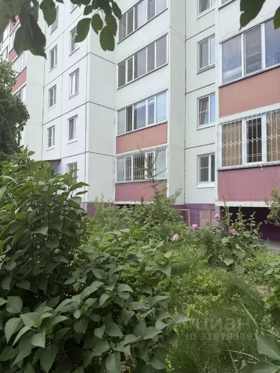 1-к кв. Омская область, Омск Крыловская ул., 46 (40.0 м) - Фото 0