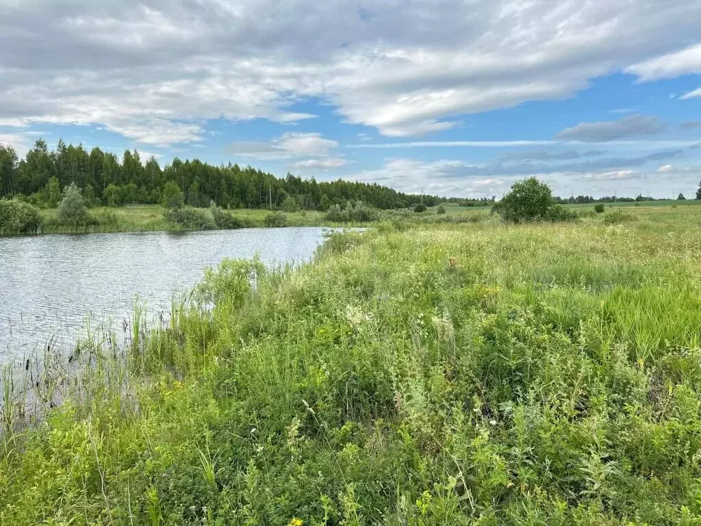 Участок 21,43 га (СНТ, ДНП) - Фото 1