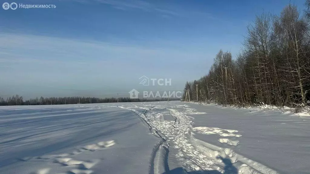 Участок в Богородский городской округ (17 м) - Фото 1