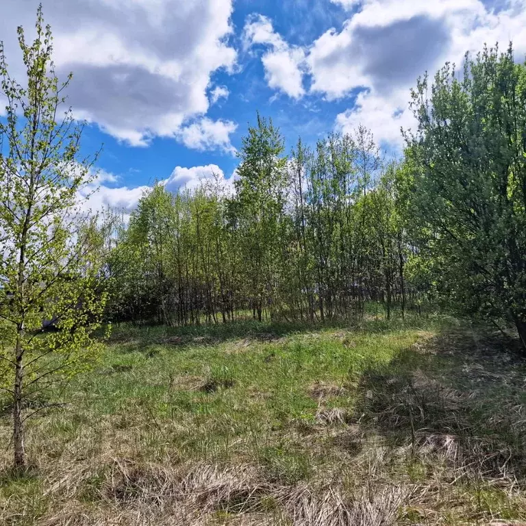 Участок в Калужская область, Боровский район, д. Совьяки ул. Солнечная ... - Фото 2