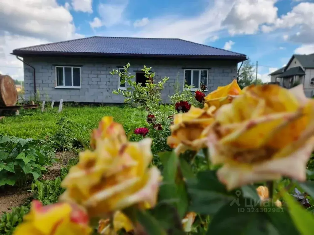 Дом в Пермский край, Соликамский муниципальный округ, д. Чашкина ул. ... - Фото 2