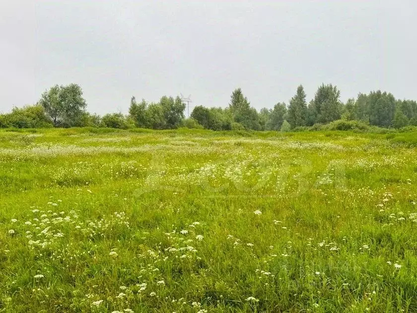 Участок в Тюменская область, Тюменский район, с. Щербак  (11.83 сот.) - Фото 0