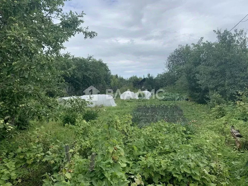 Дом в Владимирская область, Камешковский муниципальный округ, с. ... - Фото 2