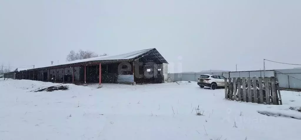 Помещение свободного назначения в Калужская область, пос. Бабынино ул. ... - Фото 1