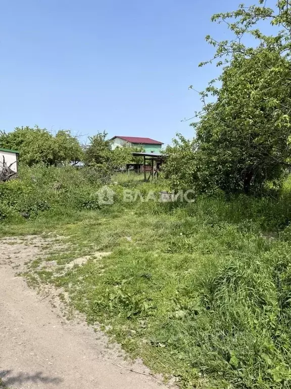 Участок в Калининградская область, Калининград Золотой Петушок ДНТ, ... - Фото 1
