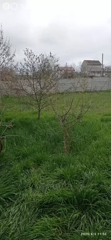 Участок в Феодосия, СПК Геотехник, Вишневая улица (6 м) - Фото 1