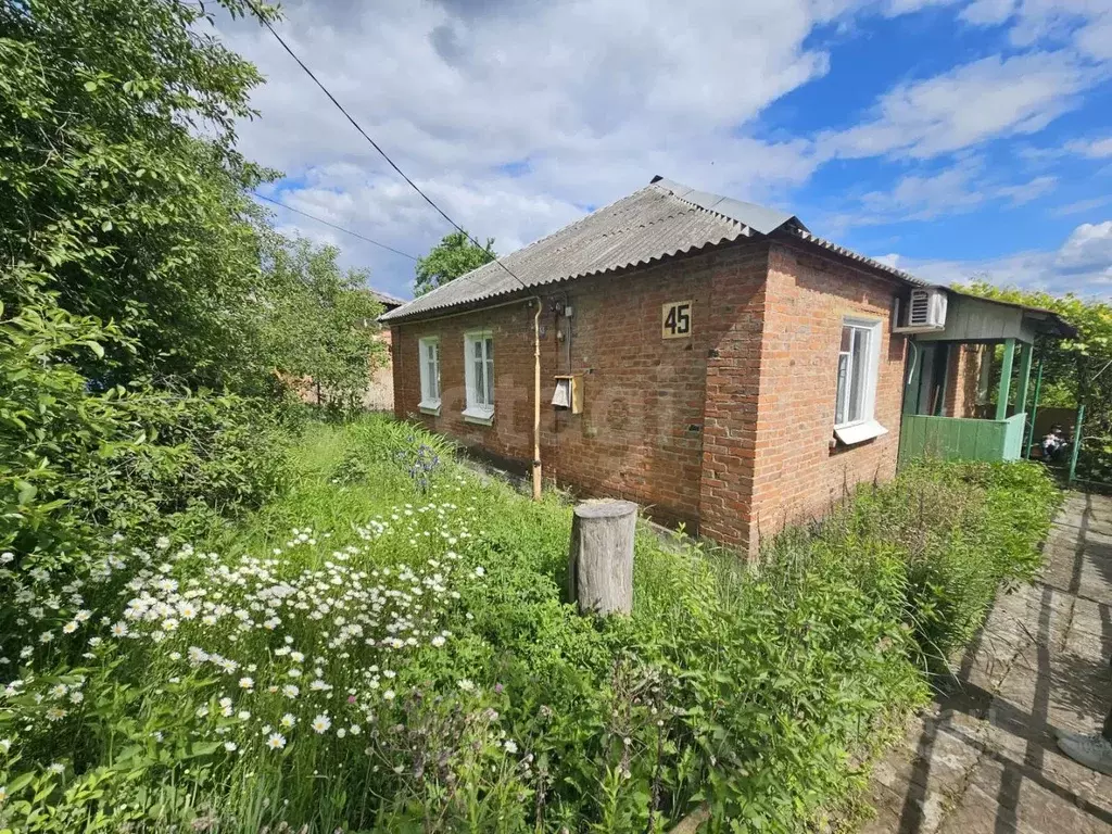 Дом в Воронежская область, Семилуки Пушкинская ул., 43 (82 м) - Фото 2