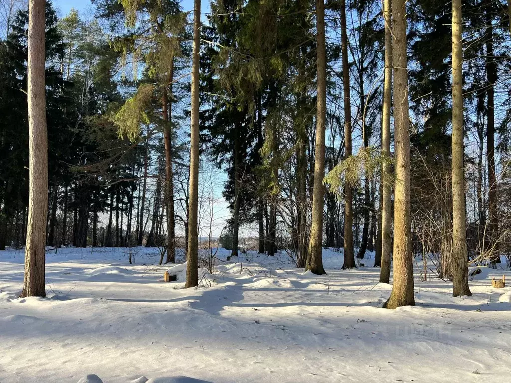 Участок в Московская область, Рузский муниципальный округ, д. ... - Фото 2
