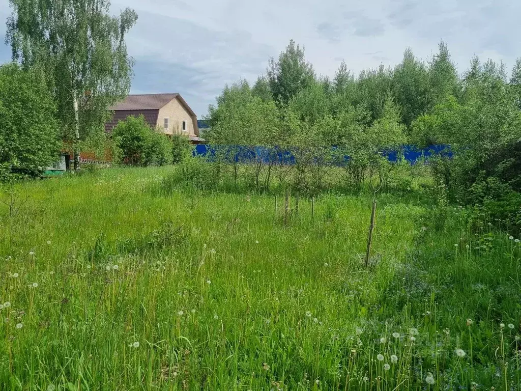 Участок в Московская область, Богородский городской округ, д. Новые ... - Фото 1