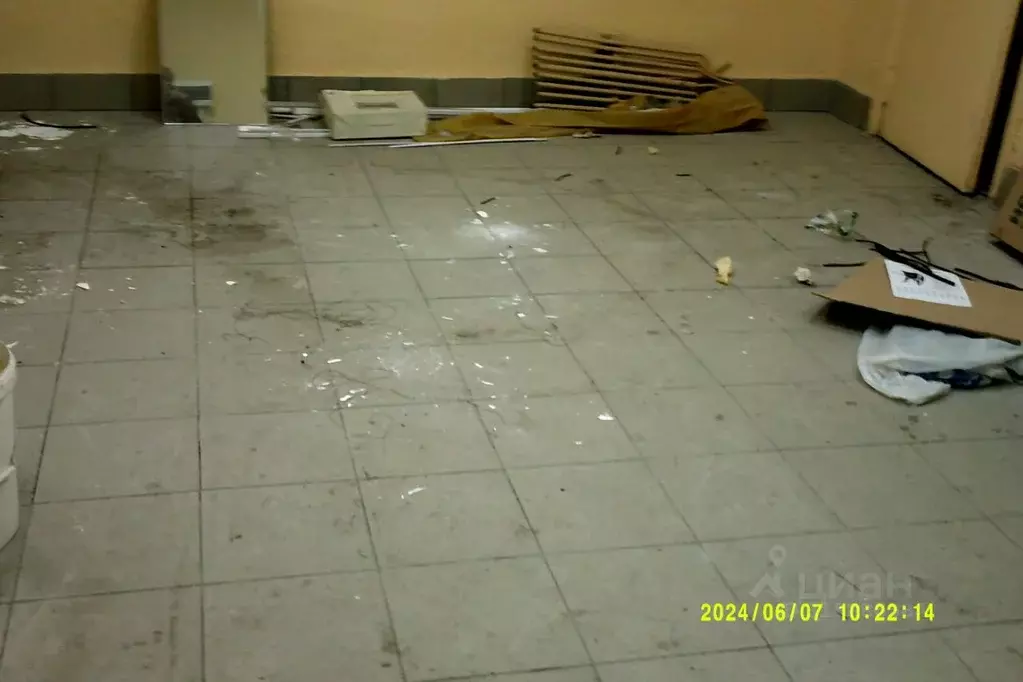 Помещение свободного назначения в Новосибирская область, Новосибирск ... - Фото 1