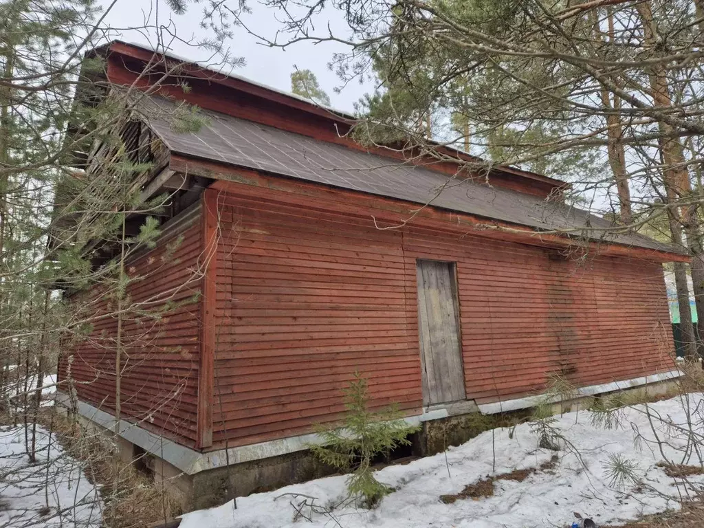Участок в Ленинградская область, Лодейнопольский район, Доможировское ... - Фото 1