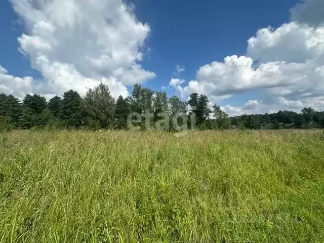 Участок в Алтайский край, Бийский район, пос. Амурский Садовая ул. ... - Фото 1