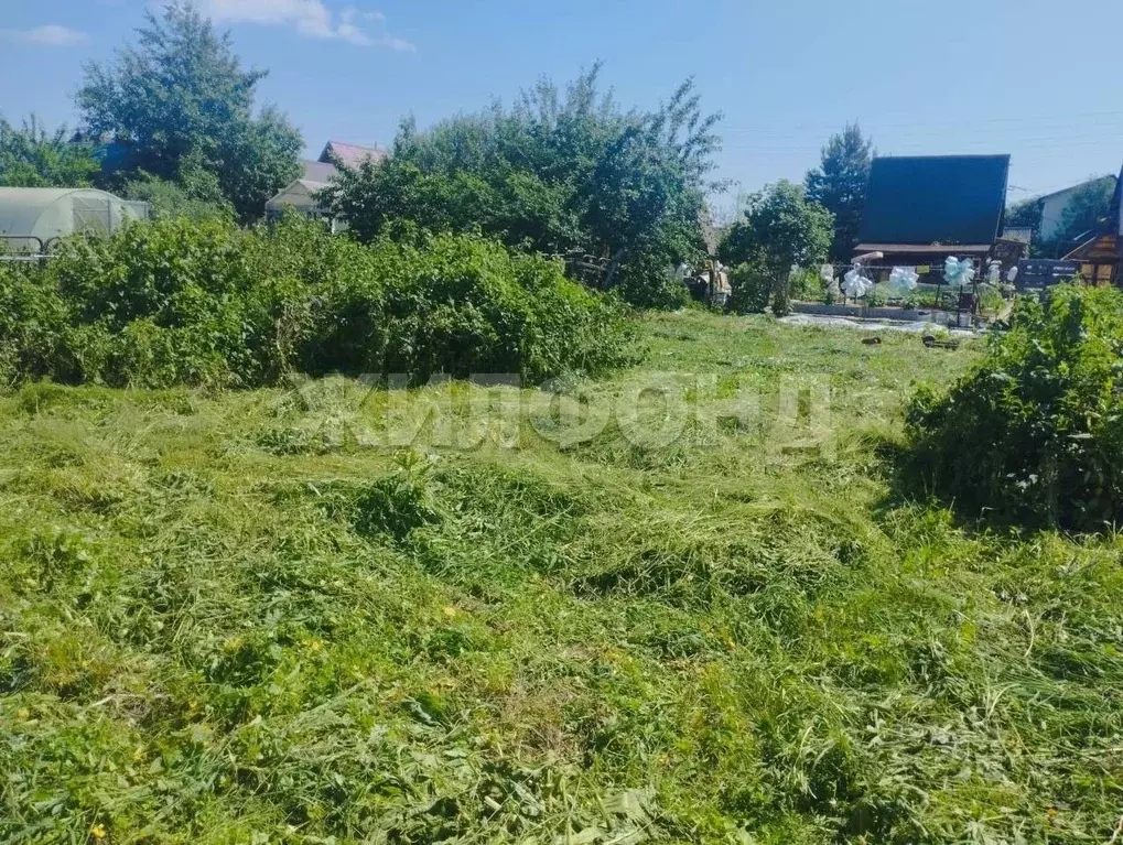 Участок в Красноярский край, Красноярск Тихие Зори мкр,  (3.96 сот.) - Фото 1