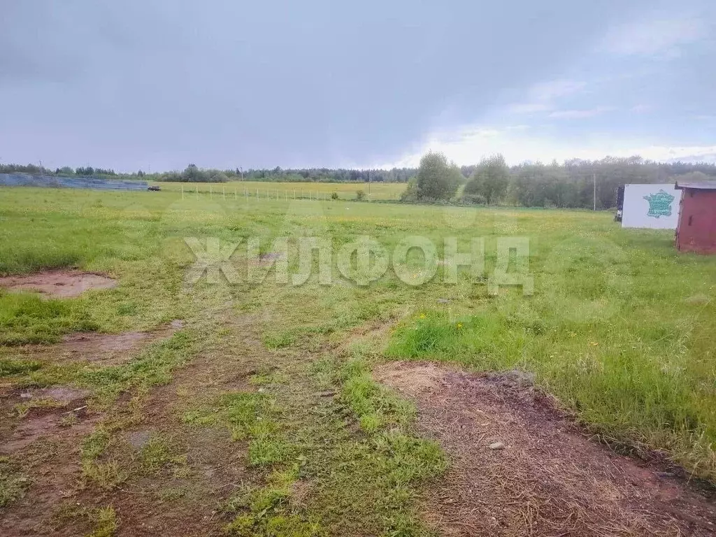 Участок 65 сот. (СНТ, ДНП) - Фото 1